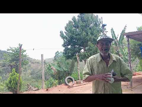 1 de novembro de 2025