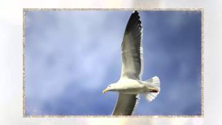 A Whole New World: Instrumental Flugelhorn