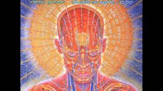 Solar quest - Set the heart for the bass of the sun
