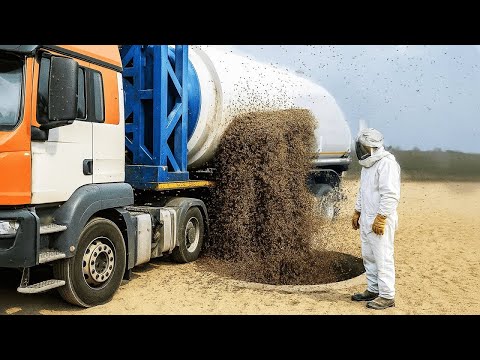 SVI SU ISMIJAVALI NEVADU ZBOG MILIONA PČELA U PUSTINJI – MJESEC DANA KASNIJE SU SE POKAJALI