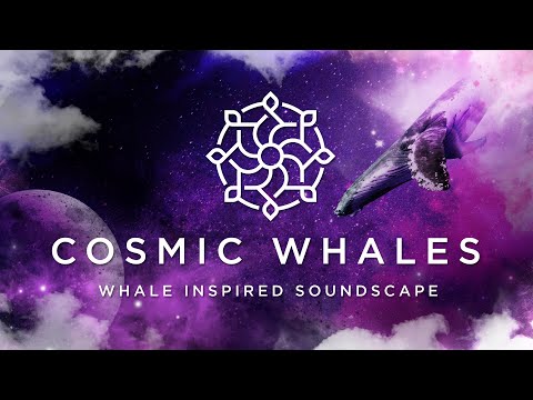 Cosmic Whales - Whale Sounds + Sleep & Relaxation Music | #whalesounds