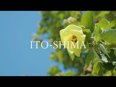 梅雨から夏の風景　～糸島10秒動画～