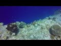 Diving Off The Wall