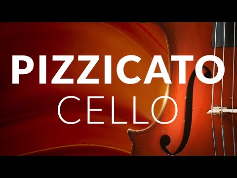 Pizzicato Cello Album