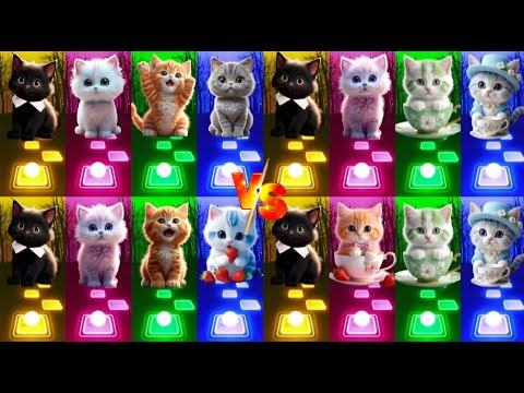 📹 ALL CUTE CATS PT.5 - IMAGINE DRAGONS ENEMY - JISOO FLOWER   SHAKIRA WAKA WAKA - LISA MONEY