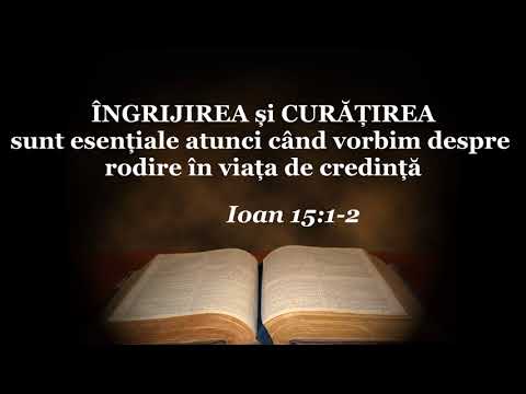 Despre roada Duhului Sfant