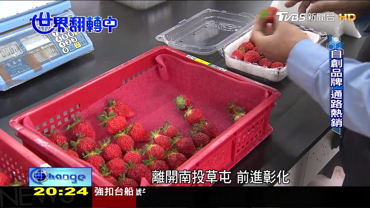 拉長草莓採收期 工研院科技溫室拚輸出