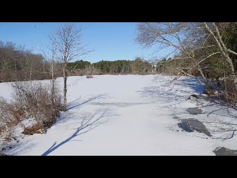 youtube embeded image