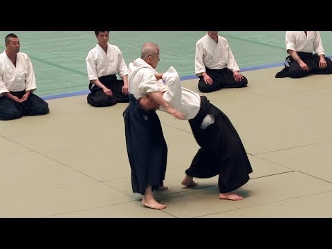 Akira Wada - 56th All Japan Aikido Demonstration 2018
