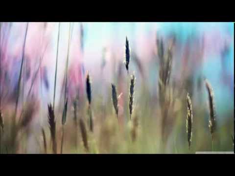 FS Zamutovčan - Kec popatrim na Kamenu