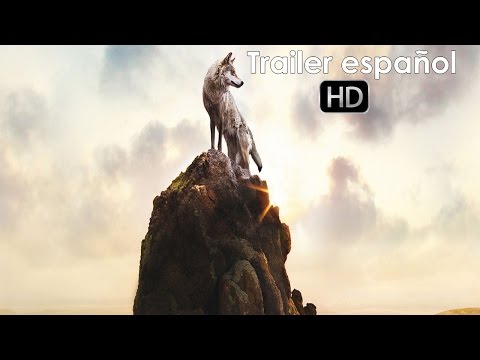 El último lobo – Trailer español (HD)