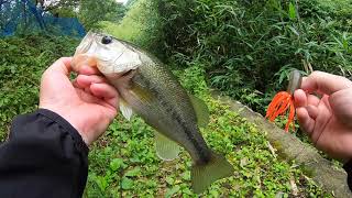 【バス釣り】没動画のヒットシーン集めてみた【野池】