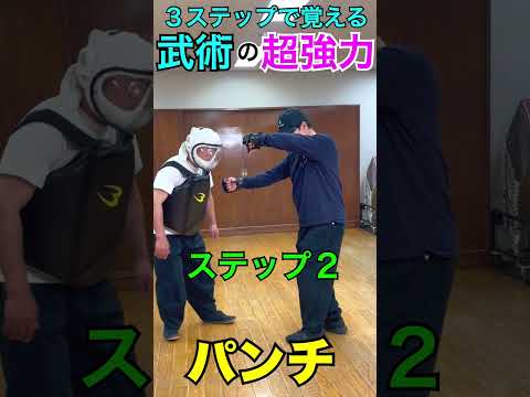 ３ステップで覚える武術の腕力を使わないパンチ