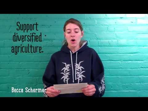 Don't fear the bugs!