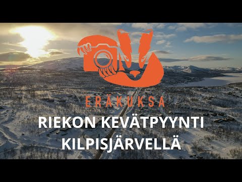 RIEKON KEVÄTPYYNTI