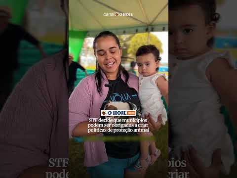 STF decide que municípios podem ser obrigados a criar políticas de proteção animal