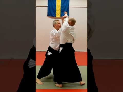 Aikido against PUNCHES (tsuki),  by Stefan Stenudd