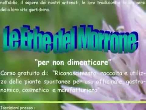 ONDA TG 27.02.2013 - ERBE DEL MORRONE