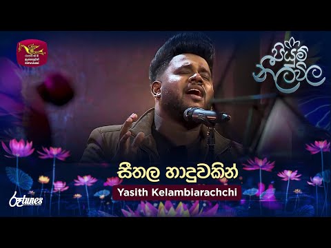 Seethala Haduwakin | සීතල හාදුවකින් | Yasith Kelambiarachchi | Piyum Neela Vila | Roo Tunes