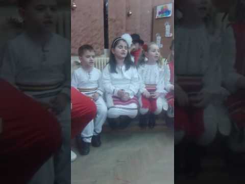 serbari in bolintin vale