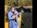 Mikko Alatalo Vielä maalaispoika oon 