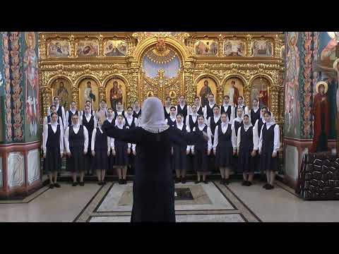 Corul ASCENSIO - Tatăl nostru, Dragoș Alexandrescu