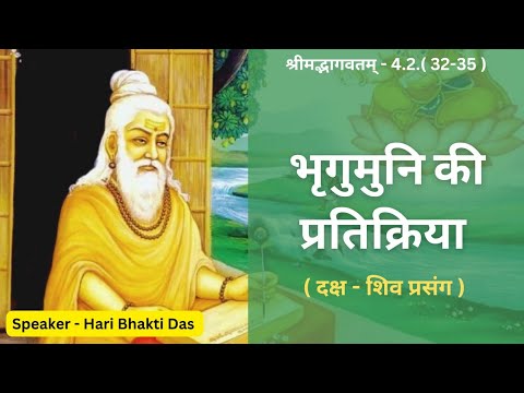 Bhrigu Muni's Reaction | दक्ष - शिव प्रसंग | SB 4.2.32-35 | Part 508 | Hari Bhakti Das