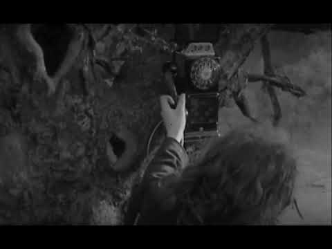 The Secret of Sleep - Willie telephone scene