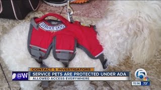 Florida law designed to stop phony service dogs - all bark no bite
