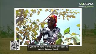 The K4GGWA Second Innovation Facility Call for the Great Green Wall (Deadline 17 April 2025)