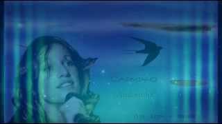 Carminho _  Andorinha