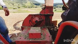 Como regular pedra do amolador ensiladeira nogueira🚜