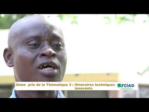 ESA, 2e Prix de la Thématique 3 du CIAD 2017