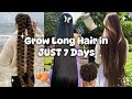 How To Grow Your Hair Faster Than Normal In JUST 7 DAYS 0 Dollar No Stress