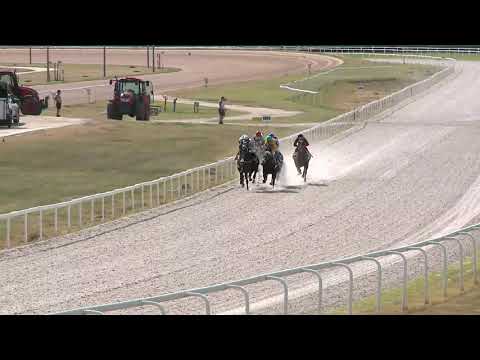 2021.07.04. 07. futam - EQUINE PRODUCTS HENDIKEP (II.o.) (szintetikus pálya)