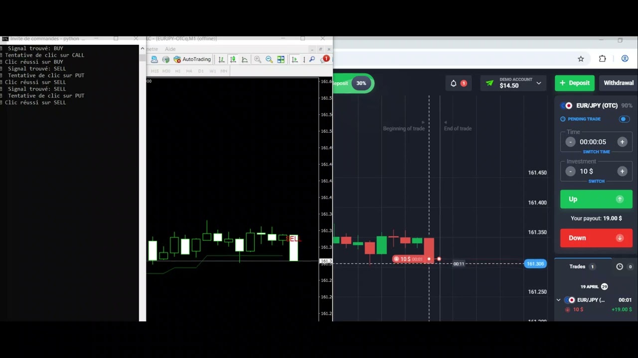 Algorithmic Analysis Preview