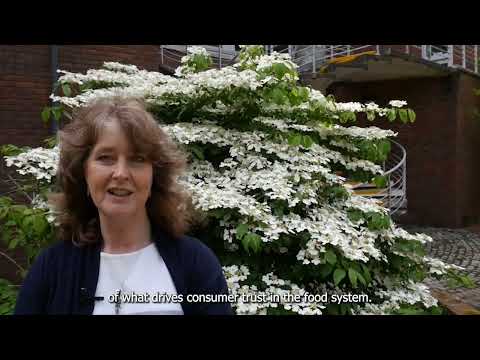 In food we trust play video