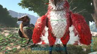 ARK(PS4版)　ラグナロク島で共同メンバー生活！