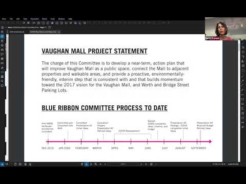 09.04.20 Vaughan Mall Blue Ribbon Committee.