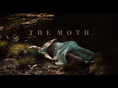 deary - The Moth (Official Video)