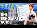 Everything You Need To Know About Applying To University And Scholarships In The Sims 4