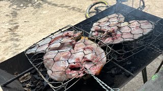 Download lagu penarikan jaring sore dan pagi hari mp3