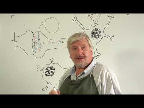 Sergey Vyacheslavovich Savelyev - Cryptography of the Brain