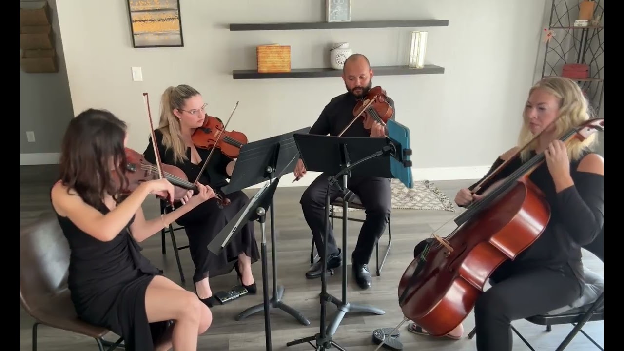Promotional video thumbnail 12 for Perle Noire String Musicians