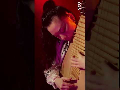 琵琶 Pipa |《晚秋》Late Autumn