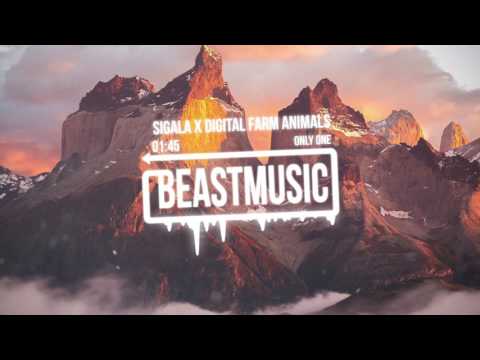 Sigala x Digital Farm Animals - Only One