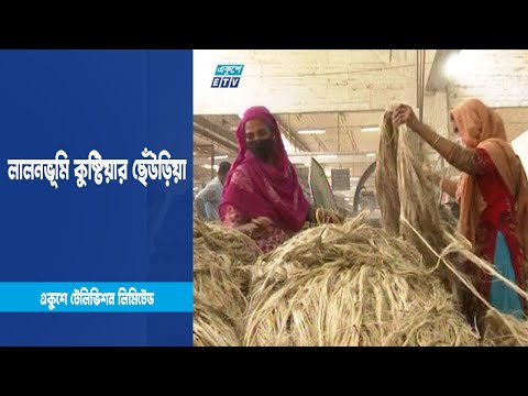 জাতীয় পাট দিবস কবে ফিরবে পাটের সুদিন | ETV News