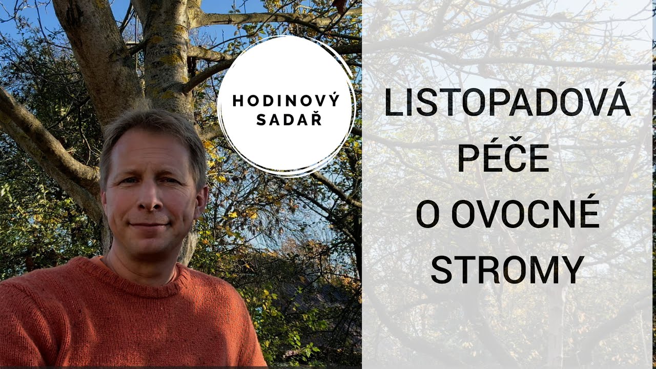 🍃 Listopad: Podzimní řez, výsadba, prevence, ochrana a výživa ovocných stromů 🍂