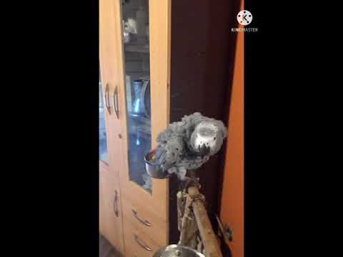 Hany Nagy - giving my boy a good shower , hope u like it