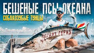 Sport Fishing Seychelles with Tight Line Fishing